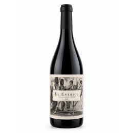 Bonarda Mendoza Single Vineyard Los Paraísos 2022 - 750 mL