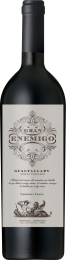 Gran Enemigo Gualtallary Single Vineyard Cabernet Franc 2020
