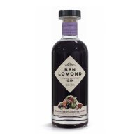 Blackberry & Gooseberry Gin 700 mL - 38%