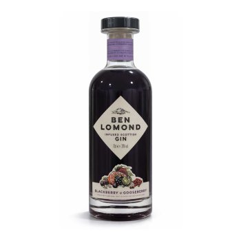 Blackberry & Gooseberry Gin 700 mL - 38%