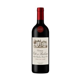Saint-Émilion Grand Cru Classé 2019 - 750 mL