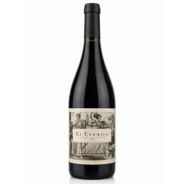 Bonarda Mendoza Single Vineyard La Esperanza 2022