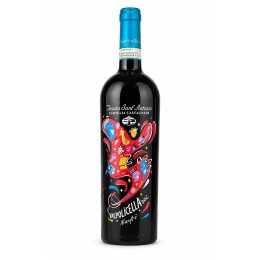Nanfrè Valpolicella 2024 - 750 mL