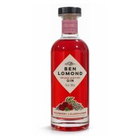Raspberry & Elderflower Gin 700 mL - 38%