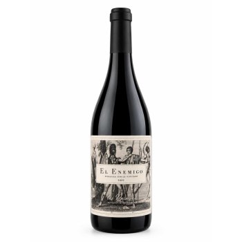 Bonarda Mendoza Single Vineyard Los Paraísos 2022 - 750 mL