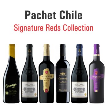 Pachet Chile - Signature Reds Collection - 6 sticle x 750 mL