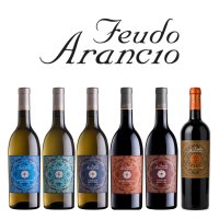 Pachet Feudo Arancio • Discover Sicily - 6 sticle x 750 mL